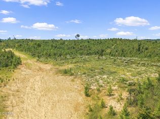 0 Rockport McIllwain Rd Tract 2, Holladay, TN 38341