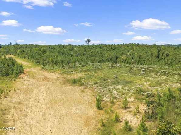 0 Rockport McIllwain Rd Tract 2, Holladay, TN 38341