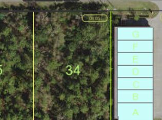 Lot 34 Hamlin Ave. Industrial Commercial, ST CLOUD, FL 34771