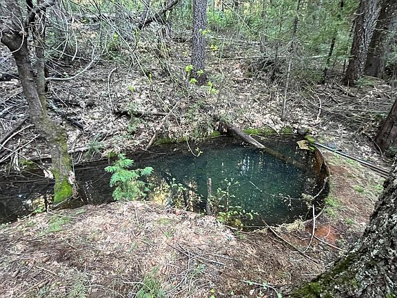 4th image of 18035 Mobley Springs Rd