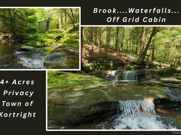 Lot 35 Webster Brook Road, Bloomville, NY 13842