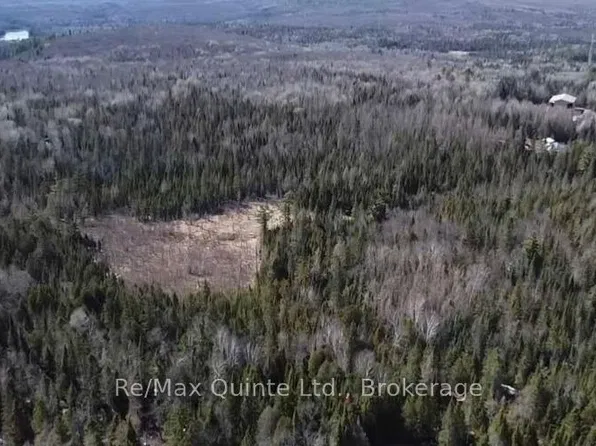 0 Highway 62, Hastings Highlands, ON K0L 1C0