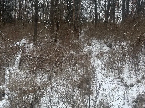 12840 Larkins Rd, Brighton, MI 48114