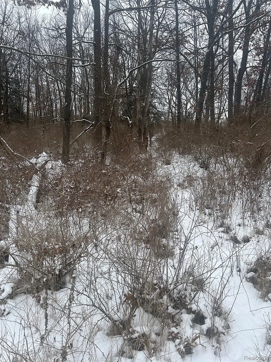12840 Larkins Rd photo 1