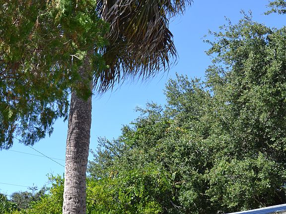 5th image of 125 Powell Creek Cir