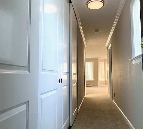 3rd image of 923 Eddy St #923/302