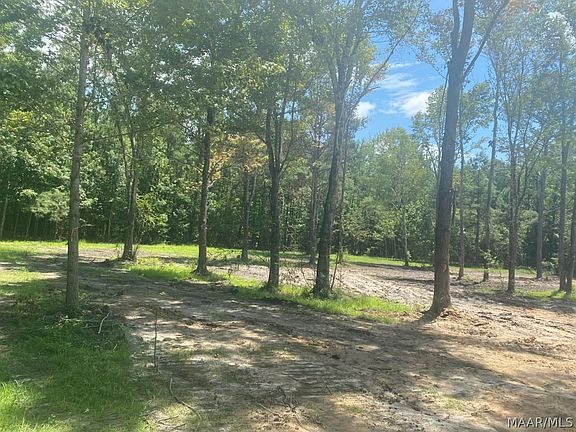 2nd image of 644 Case Rd