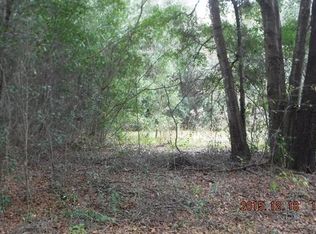 10051 SE 47th Ave, Belleview, FL 34420