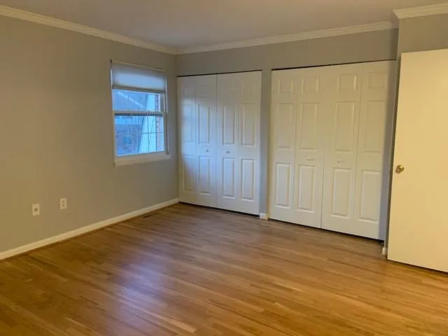 19 Theo Ln — Photo 18