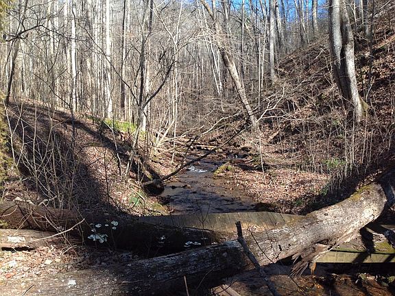 4th image of 91 Morgan Branch Dr