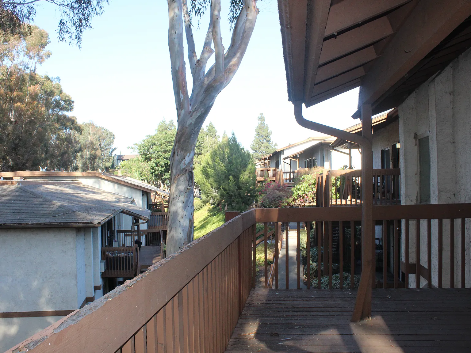 1 bed, 506 sqft, $2,500 — Photo 2