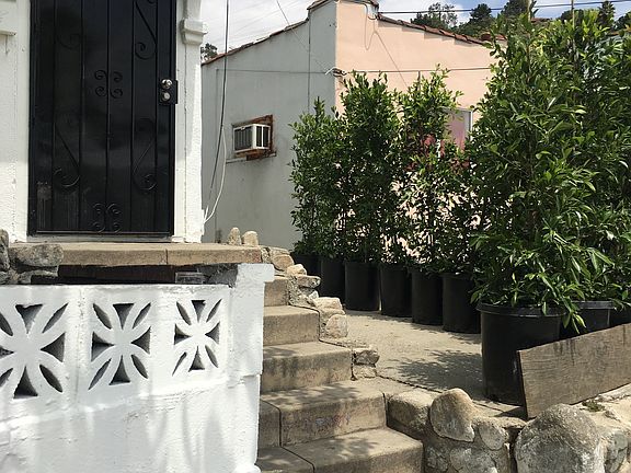 2nd image of 205 Isabel St
