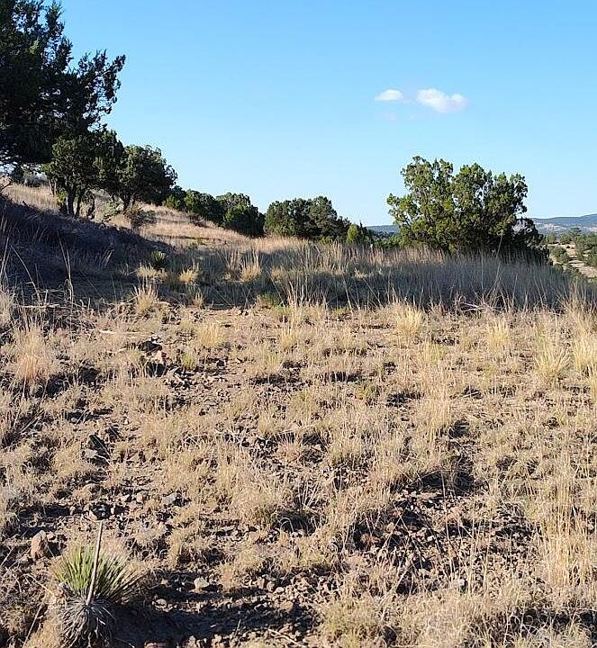 1st image of 508 State Highway 37 Tract #1B