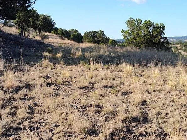 508 State Highway 37 Tract #1B, Nogal, NM 88341