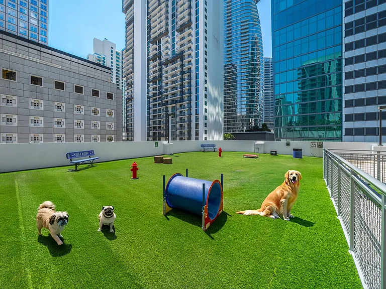 A Downtown Playground for Pups