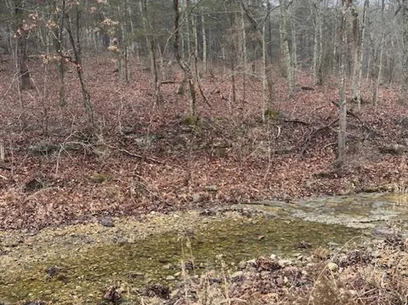 10131 State Road Bb, Hillsboro, MO 63050