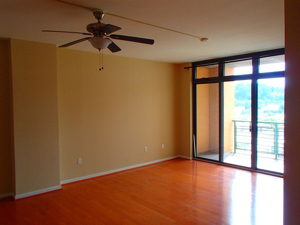 Spacious open living areas