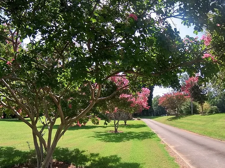 Country Club Apartments — Photo 17