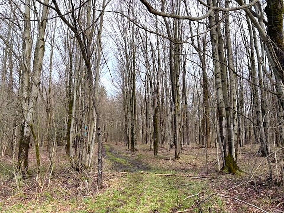 1st image of 1700 28th Creek Rd