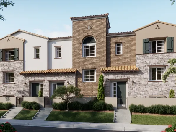 Plan C Plan, Palmera