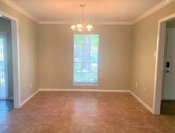 1853 Dolphin Dr — Photo 6