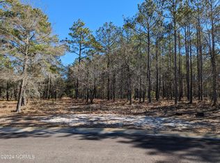 578 Bendigo Passage Ct SE, Bolivia, NC 28422