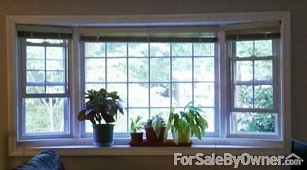 Bay Window