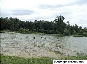 2nd image of 405 County Road 696