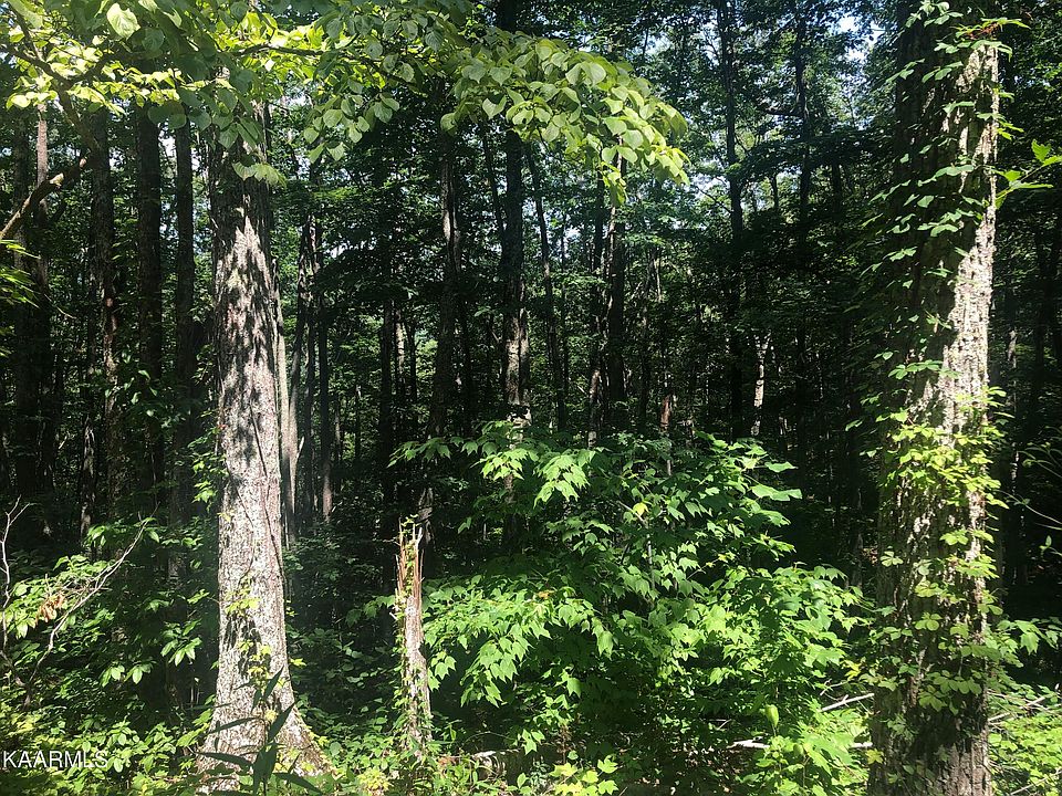 1st image of LOT 19 Low Sunset Dr