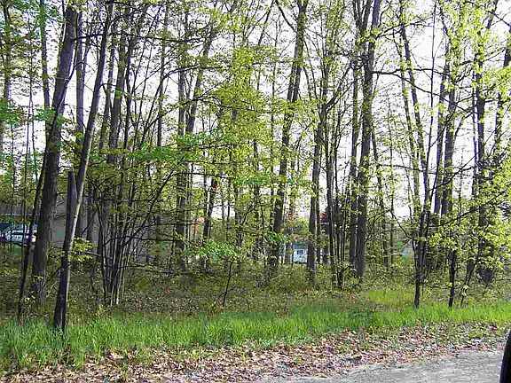 2nd image of 050-0000 W Higgins Lake Dr