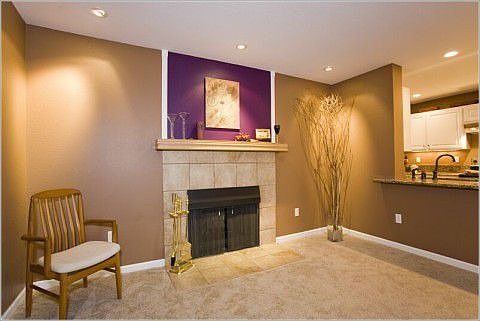 Living room fireplace