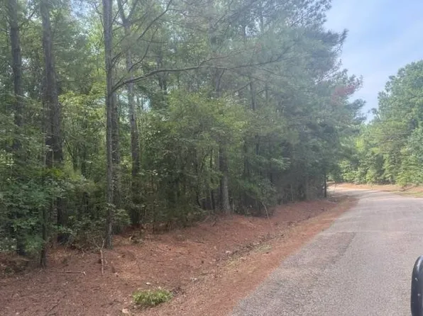 TRACT 4 Hardin Graveyard Rd, Enville, TN 38332
