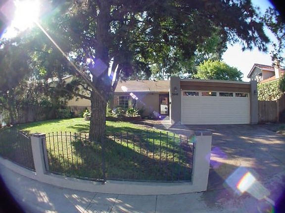 mountain canopy trees