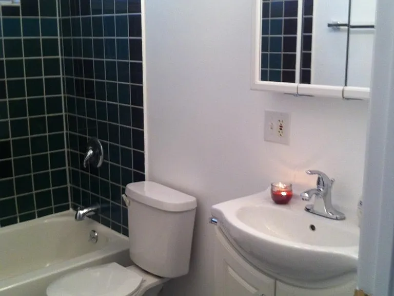 2328 W Belmont Ave #3 — Photo 9