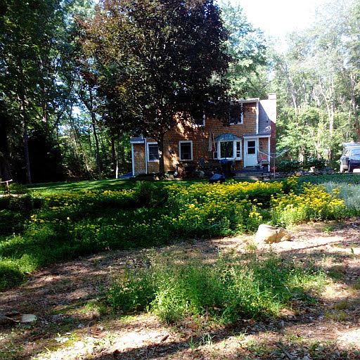 1st image of 154 Bachelor St