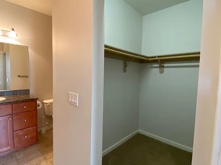 master walk in closet