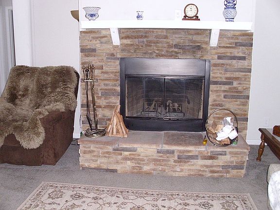 Wood burning fireplace