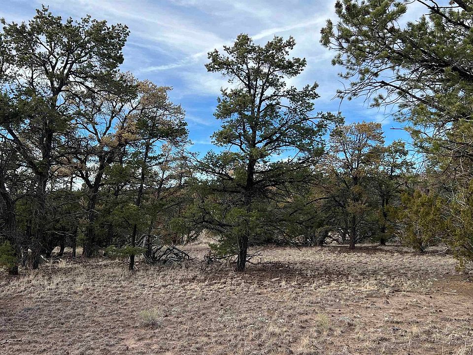 1st image of Apache Ln