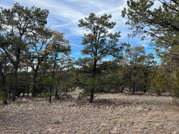 Apache Ln, Quemado, NM 87829