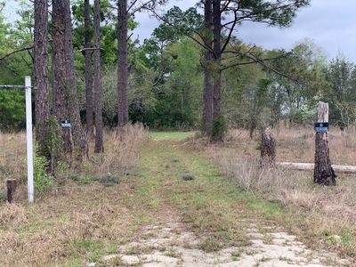 19571 County Road 136, Live Oak, FL, 32060