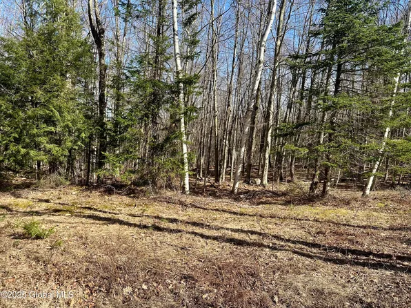 L-19 SW States Road, Stony Creek, NY 12878