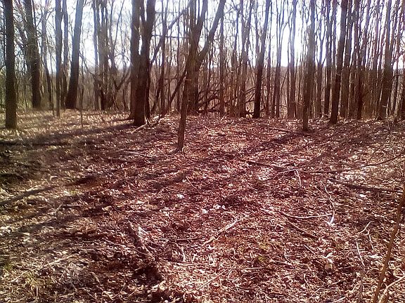 5th image of Lot 2 Coopers Rock Dr