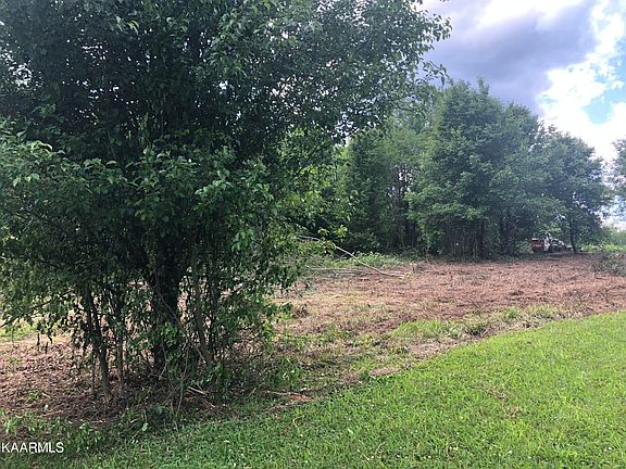 5th image of Tittsworth Springs Rd
