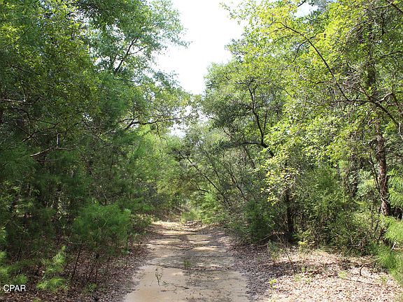 2nd image of New Jerusalem Rd