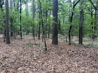 1 Johns Valley Rd, Moyers, OK 74557