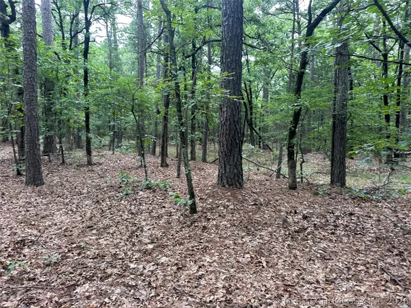 1 Johns Valley Rd, Moyers, OK 74557