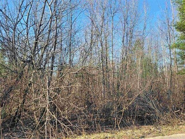 1st image of Maple St