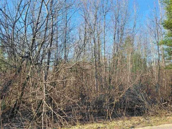 Maple St, Gladwin, MI 48624