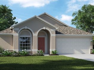 10306 Summer Azure Dr, Riverview, FL 33578