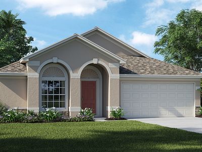 10306 Summer Azure Dr, Riverview, FL, 33578